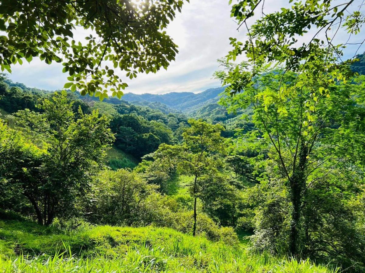 Cabana Tolle Vista Savegre Kültér fotó